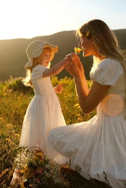 Поле на закате