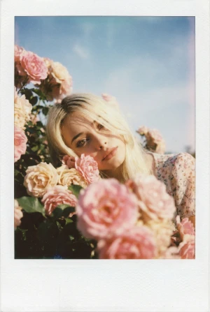 Полароид розы