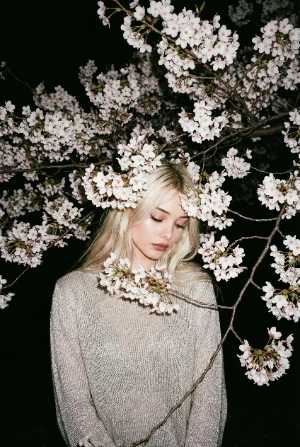 Ночная сакура