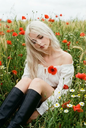 Маковое поле