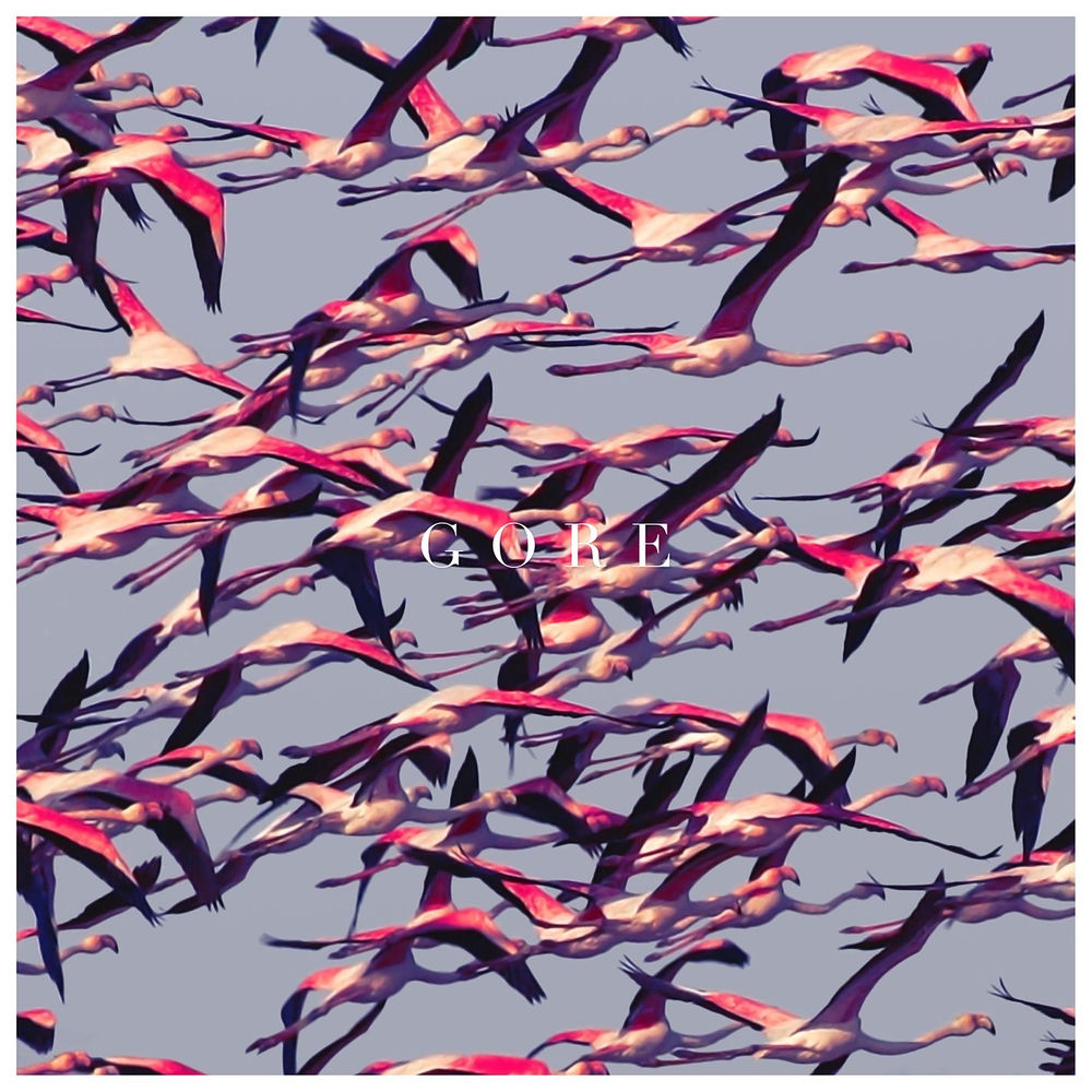 Обложка альбома Gore — Deftones Обложка альбома Gore — Deftones