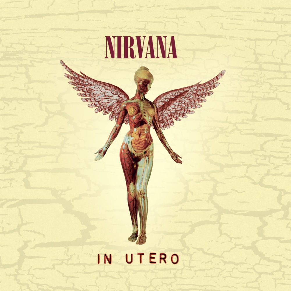 Обложка альбома In Utero — Nirvana Обложка альбома In Utero — Nirvana